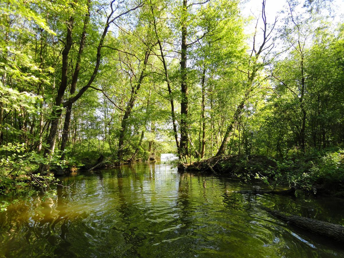 Ferienpark Am Glubigsee Wendisch Rietz Luaran gambar